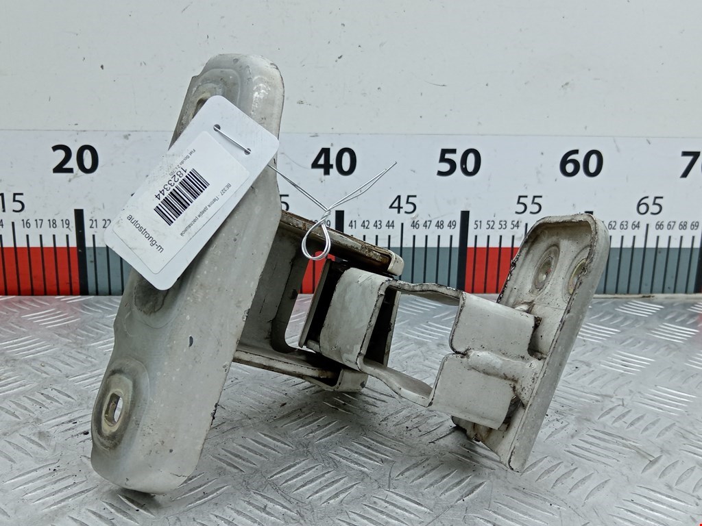 Петля двери распашной Fiat Scudo 2 (270) (2007-2016)