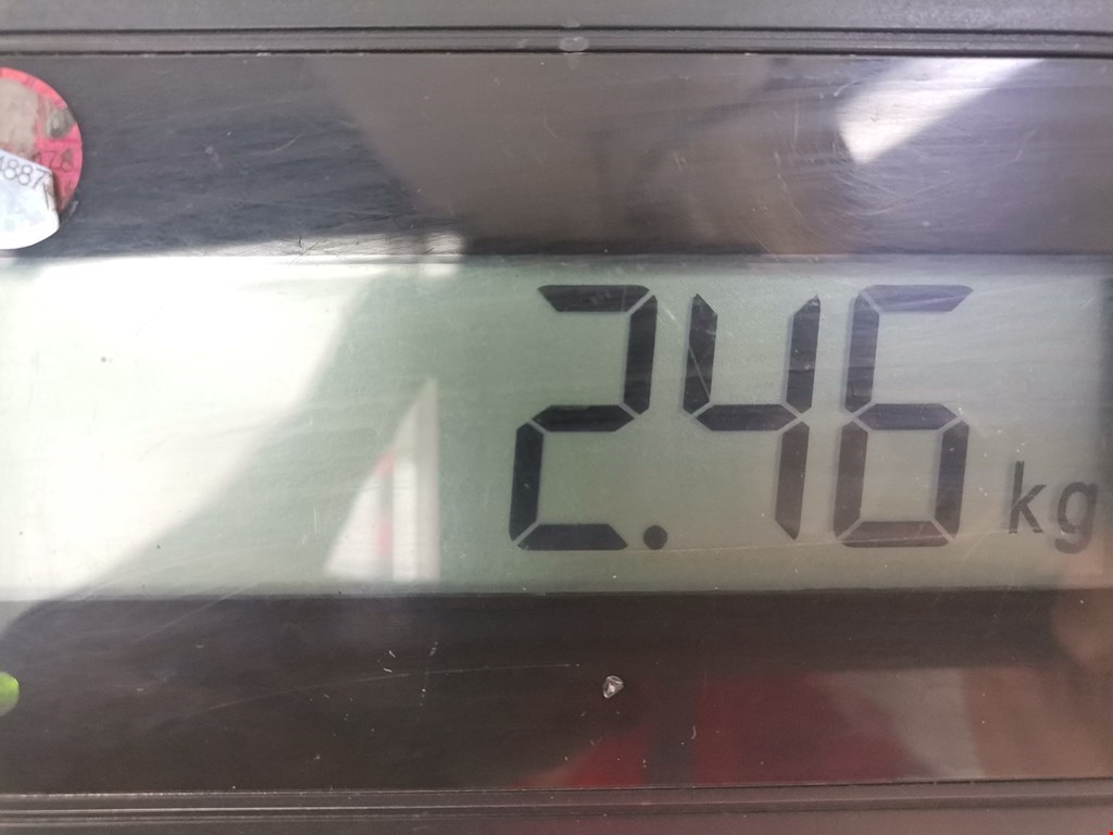 Стеклоподъемник задний левый SEAT Leon 1999-2005