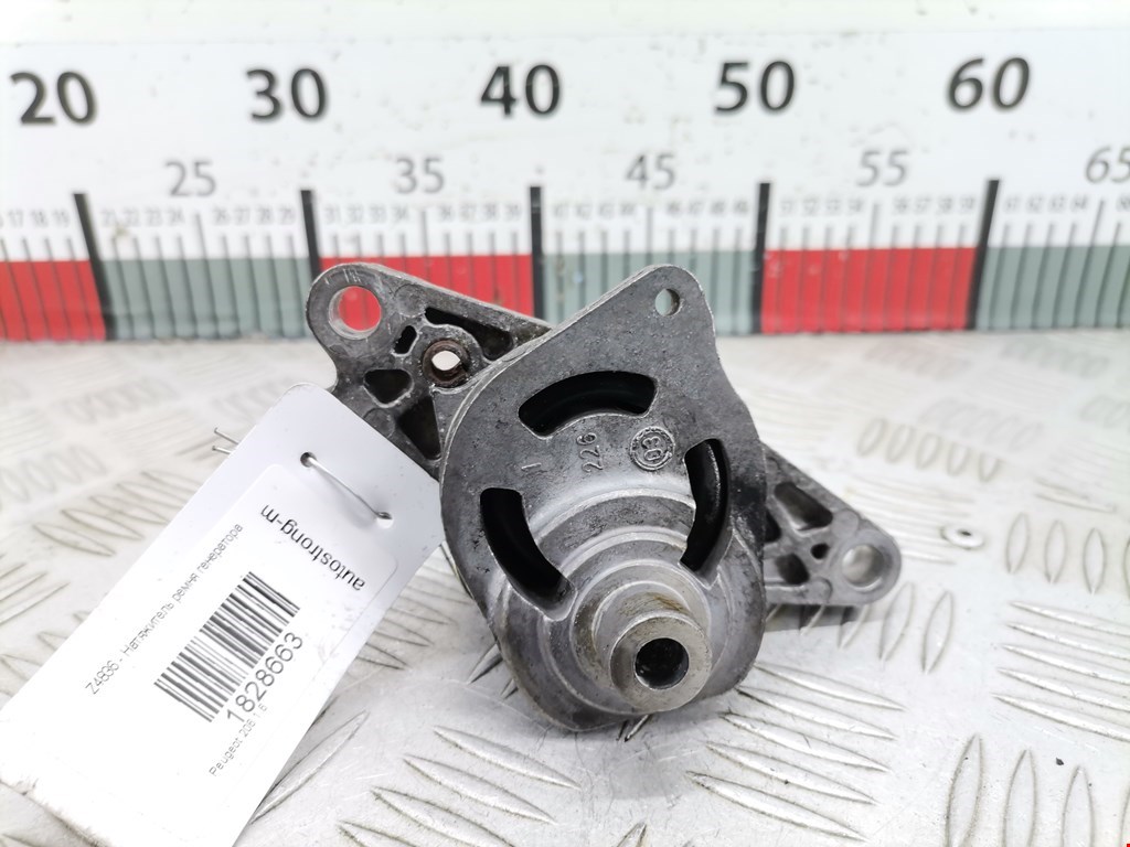 Натяжитель ремня генератора (приводного поликлинового ремня Peugeot 206 (1998-2006)