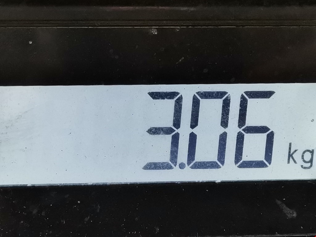 Коллектор впускной FORD C-MAX 2003-2010