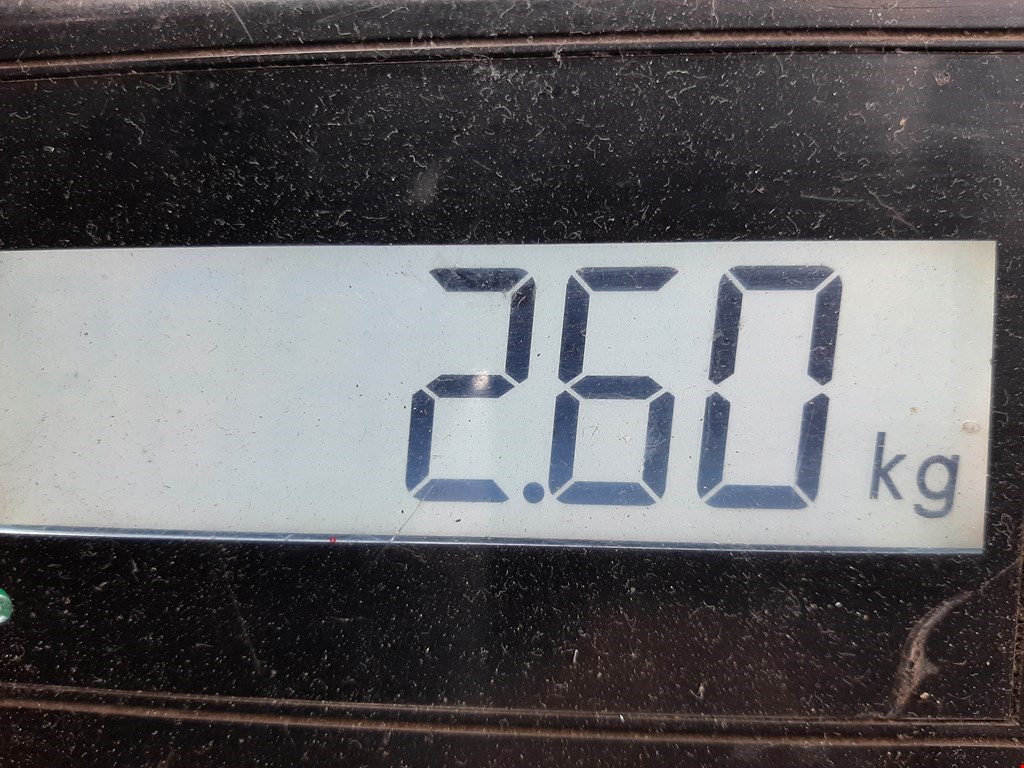 Кулиса (селектор) АКПП/МКПП в салоне SKODA Fabia MK2 5J 2007-2014