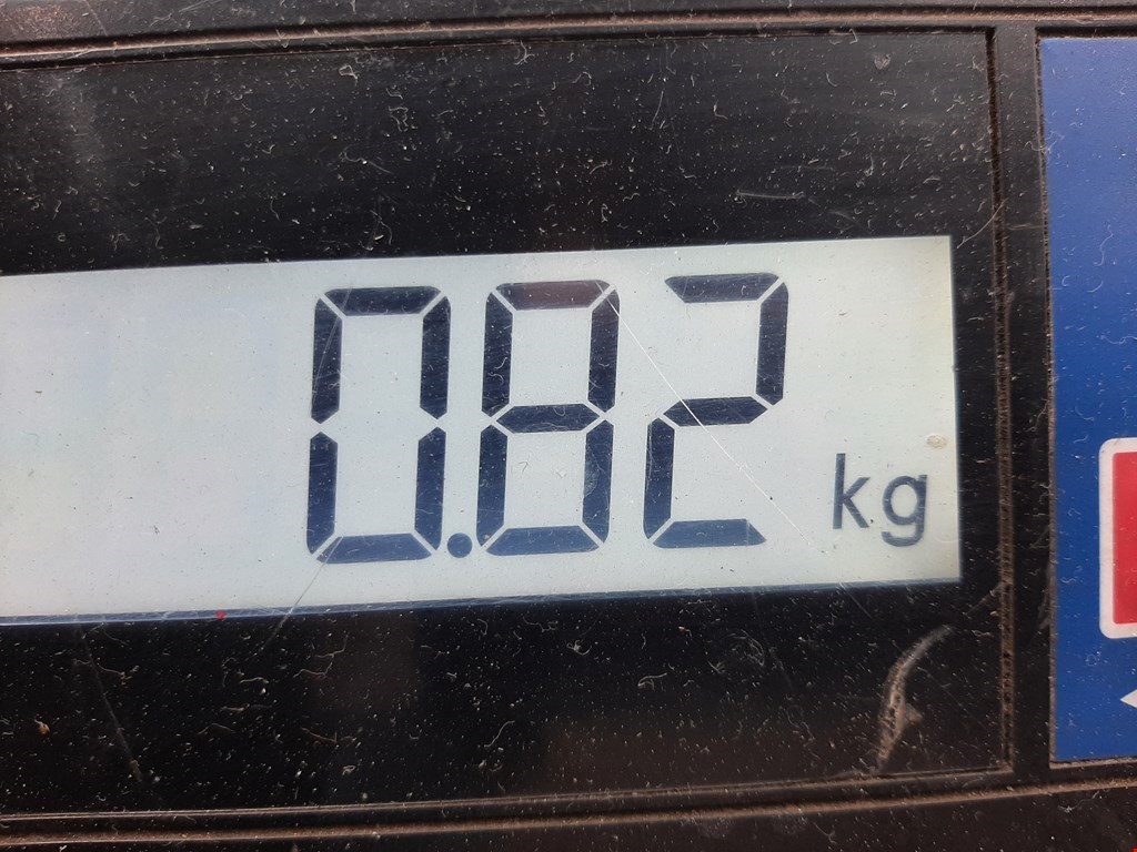 Блок управления двигателя (ЭБУ) SKODA Rapid 2012-2020