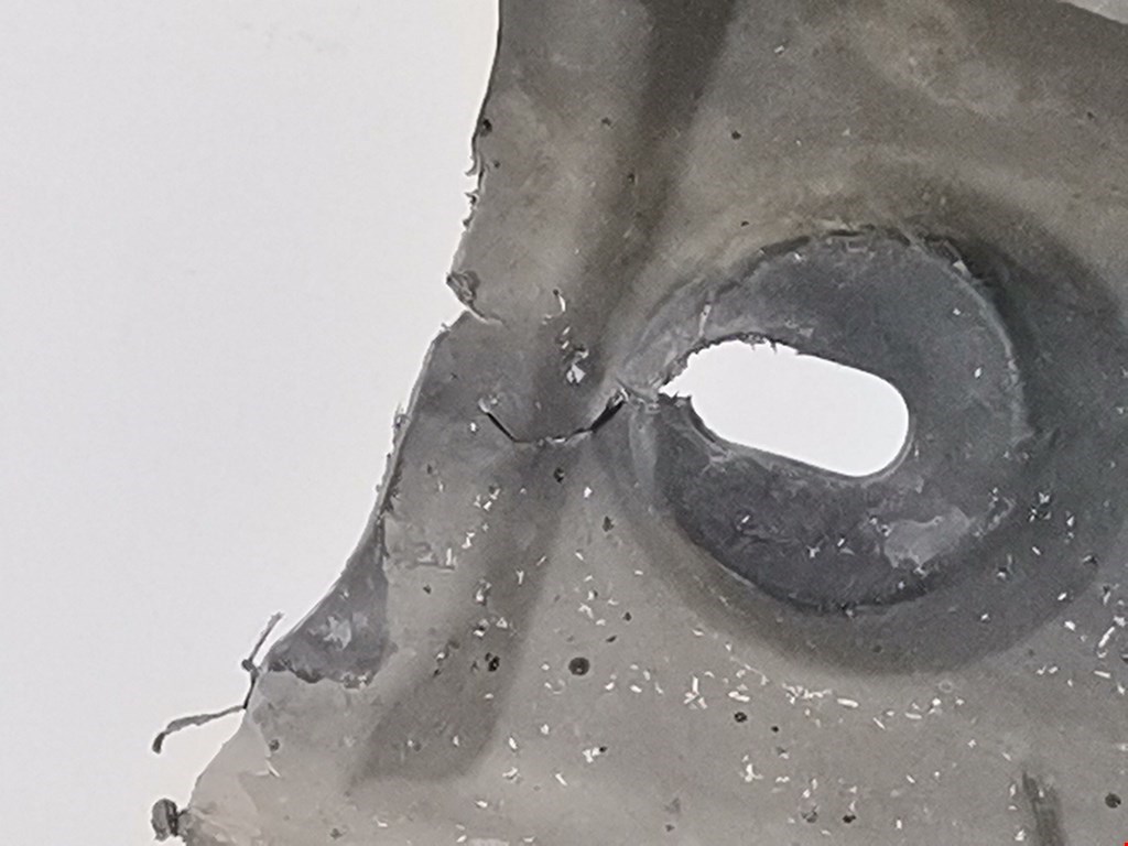 Защита антигравийная SKODA Rapid 2012-2020