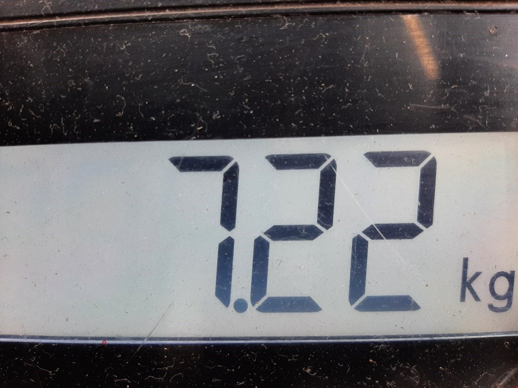 Амортизатор передний левый BMW 5er 5 серия E39 1995-2004