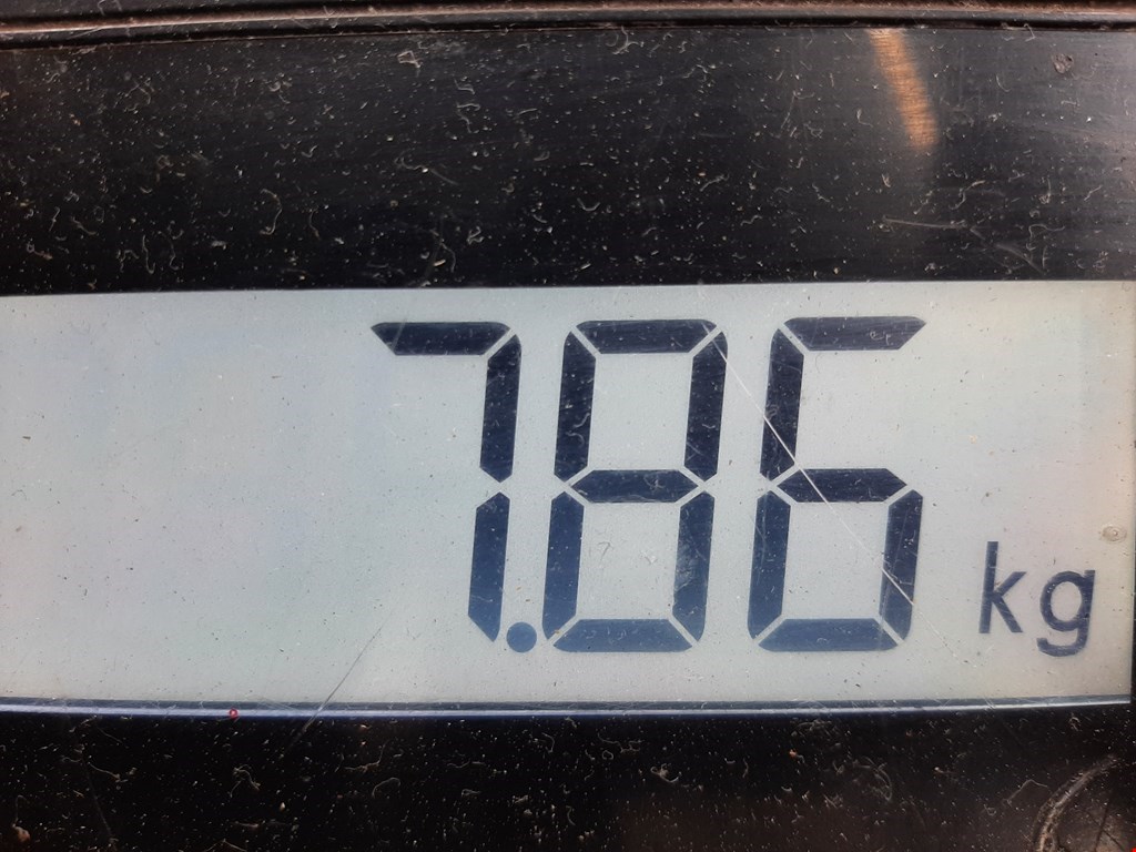 Амортизатор задний левый KIA Sorento 2002-2009