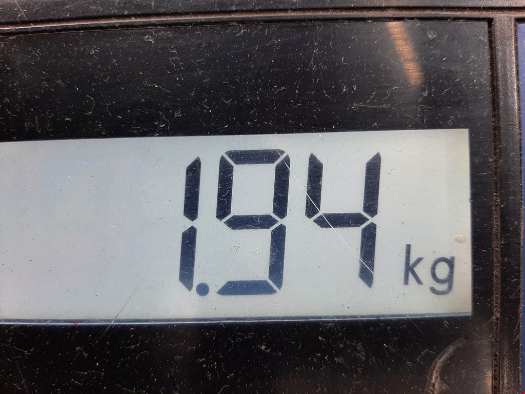 Амортизатор задний левый OPEL Corsa D 2006-2014