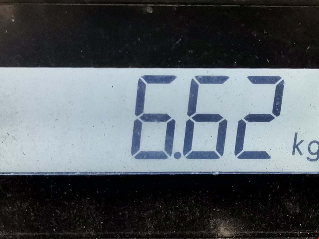 Диск тормозной задний FORD Focus I 1998-2005