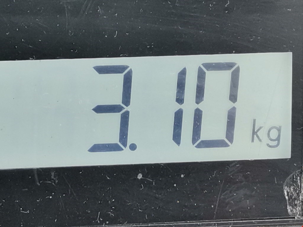 Пружина задняя левая/правая RENAULT Megane II 2002-2009