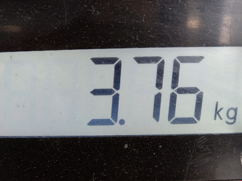 Стартер SMART Forfour W454 2004-2006