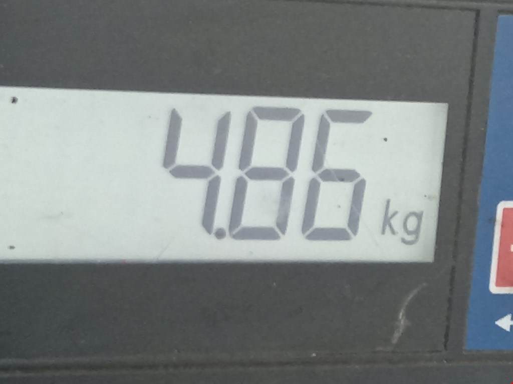 Амортизатор задний правый AUDI A4 B5 1995-2001