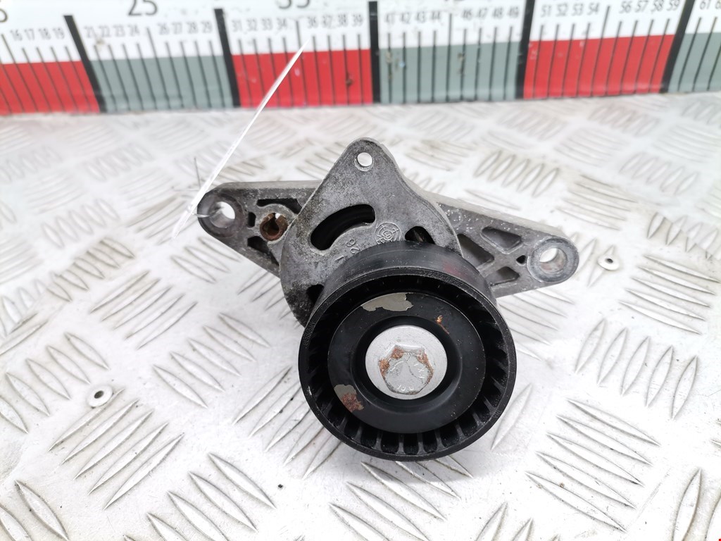 Натяжитель ремня генератора (приводного поликлинового ремня Peugeot 206 (1998-2006)