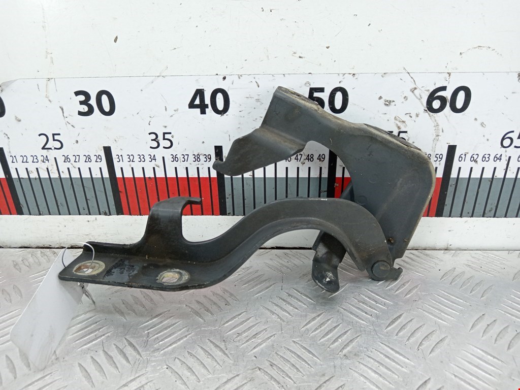 Петля капота левая/правая CHEVROLET Captiva 2006-2010