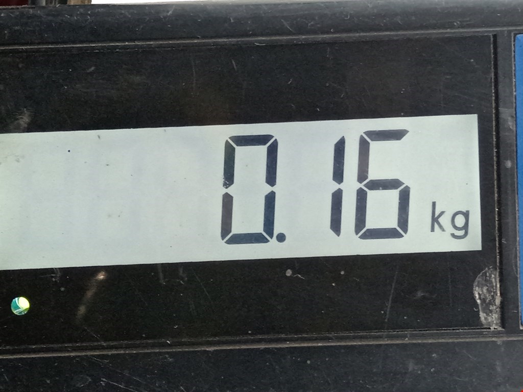 Сигнал звуковой (гудок клаксон) SSANG YONG Rodius 2004-2013