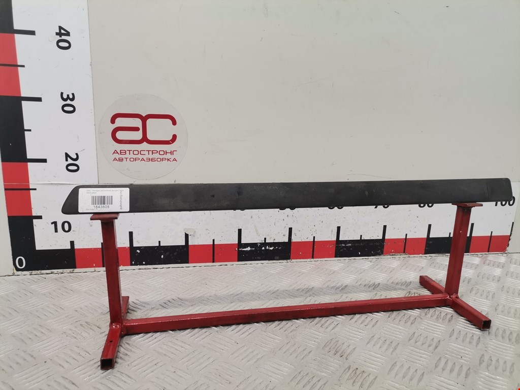 Накладка декоративная (молдинг) двери задней левой Ford Fusion (2002-2012)