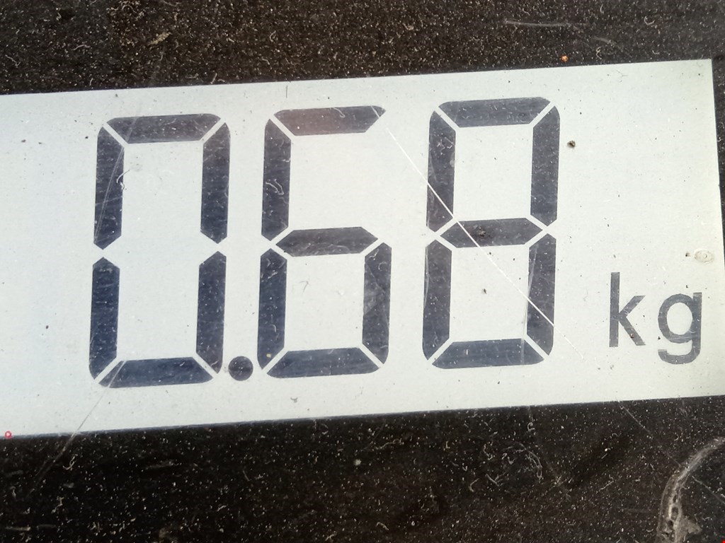 Амортизатор крышки (двери) багажника MERCEDES-BENZ CLC-Class CL203 2008-2011