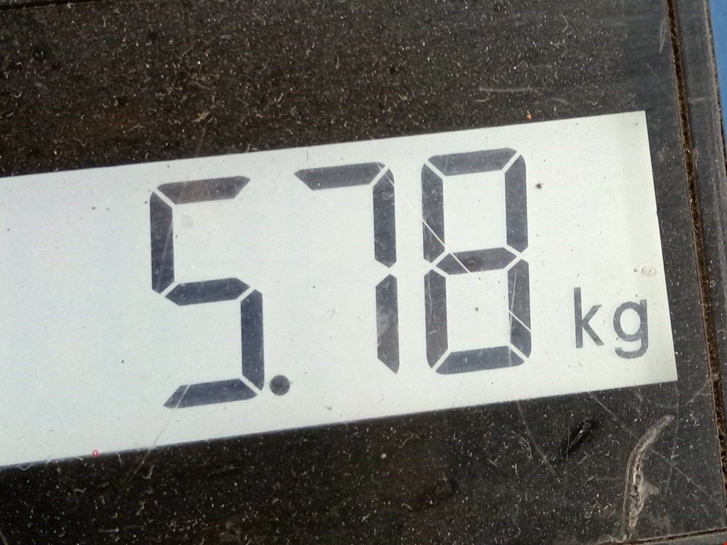 Полуось (привод, приводной вал) передняя левая AUDI A5 2007-2016