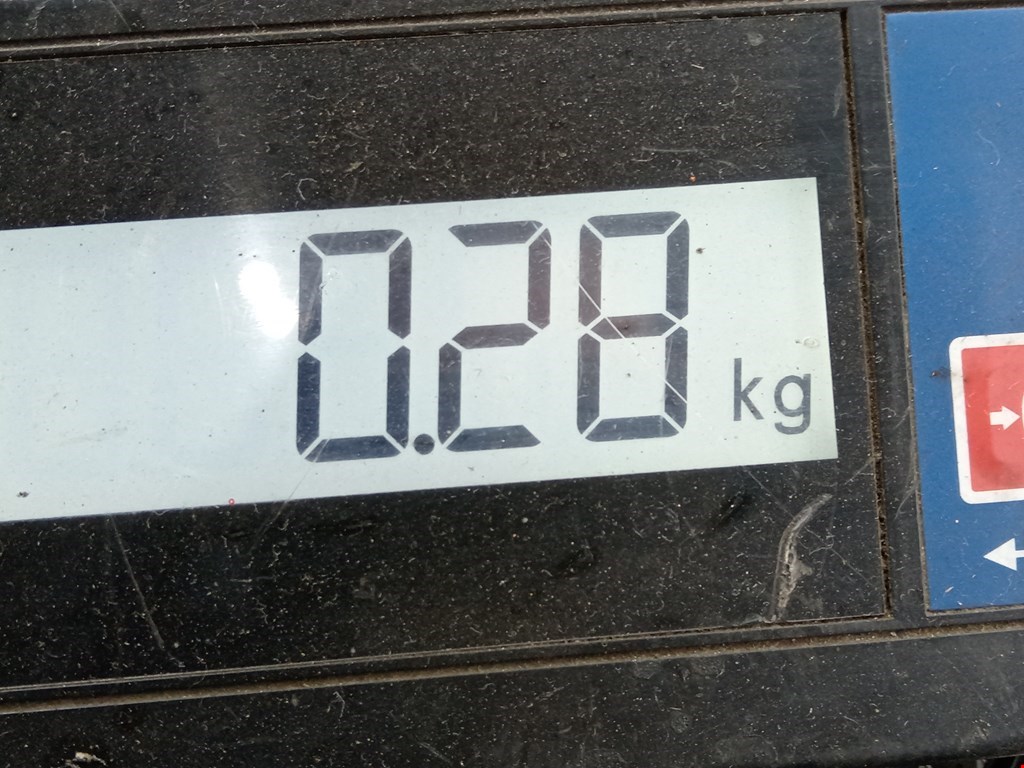 Петля капота левая/правая AUDI A6 C6 2004-2010