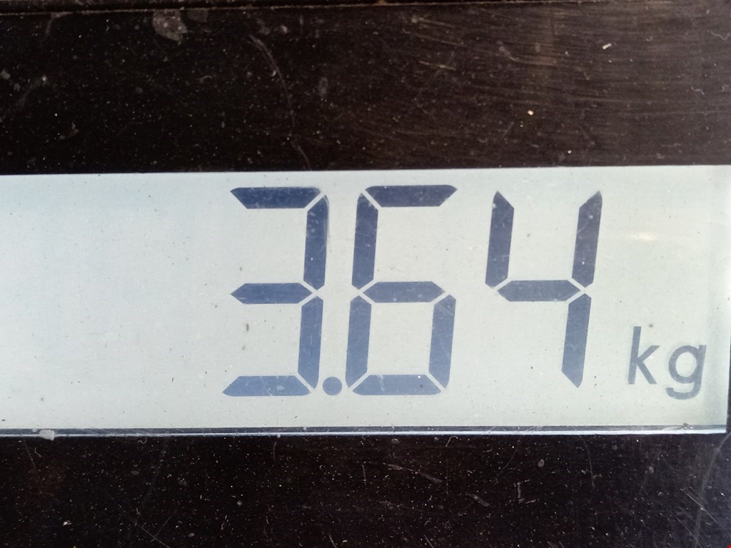 Усилитель заднего бампера (задний) PEUGEOT 308 2007-2015