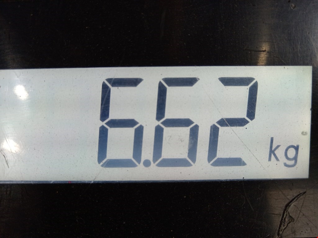 Амортизатор передний правый FORD Focus I 1998-2005