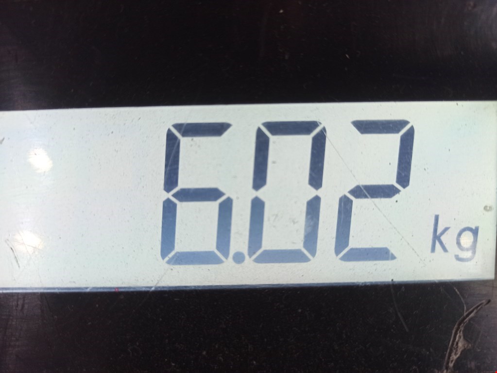 Амортизатор передний правый AUDI A3 8L 1996-2003