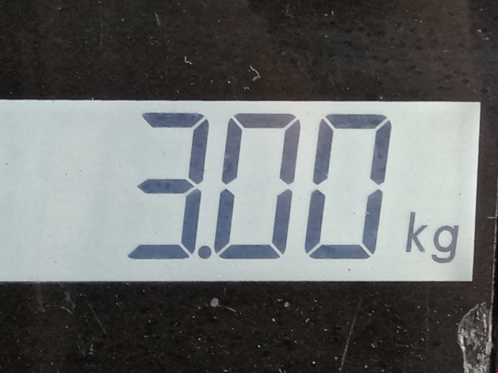 Пружина задняя левая/правая RENAULT Megane II 2002-2009