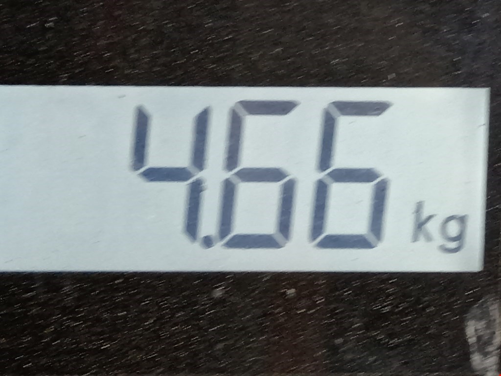 Амортизатор передний правый ALFA ROMEO 147 2000-2010