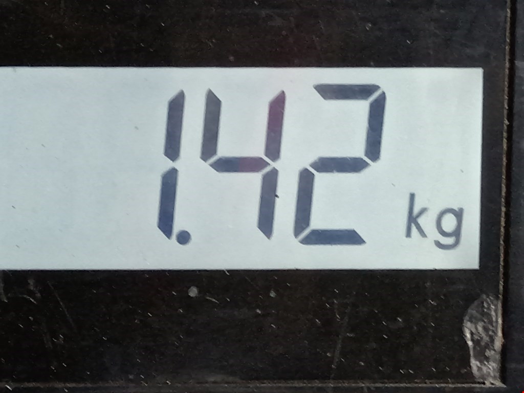 Амортизатор задний правый PEUGEOT 206 1998-2012