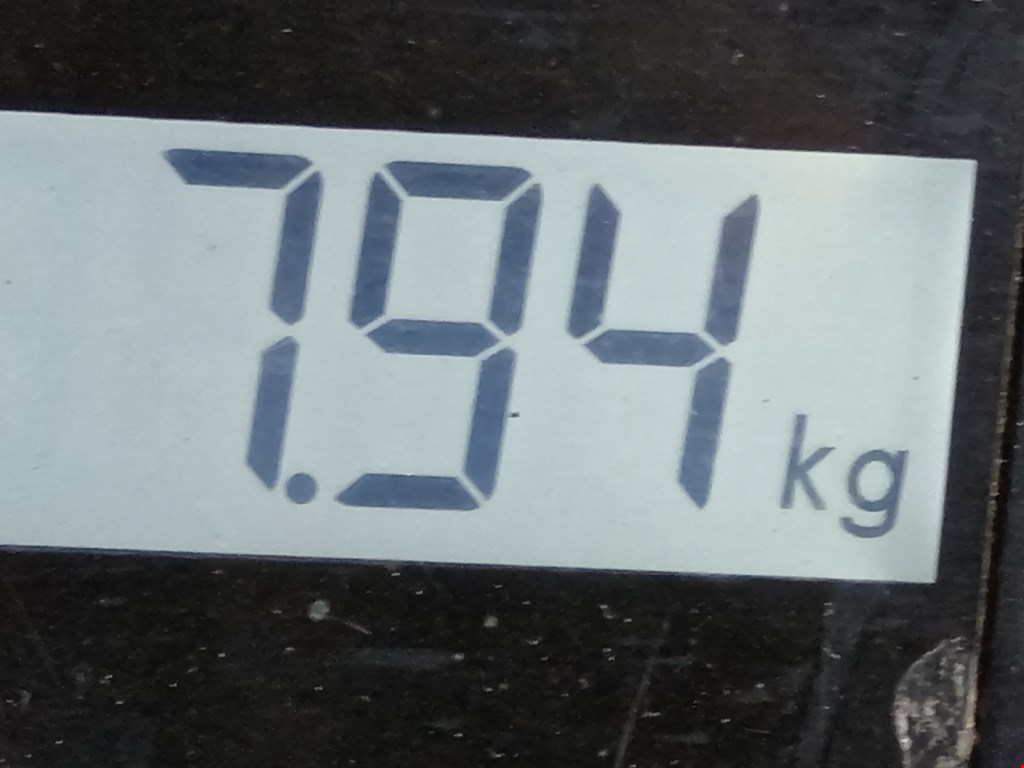 Амортизатор передний левый RENAULT Megane I 1996-2002