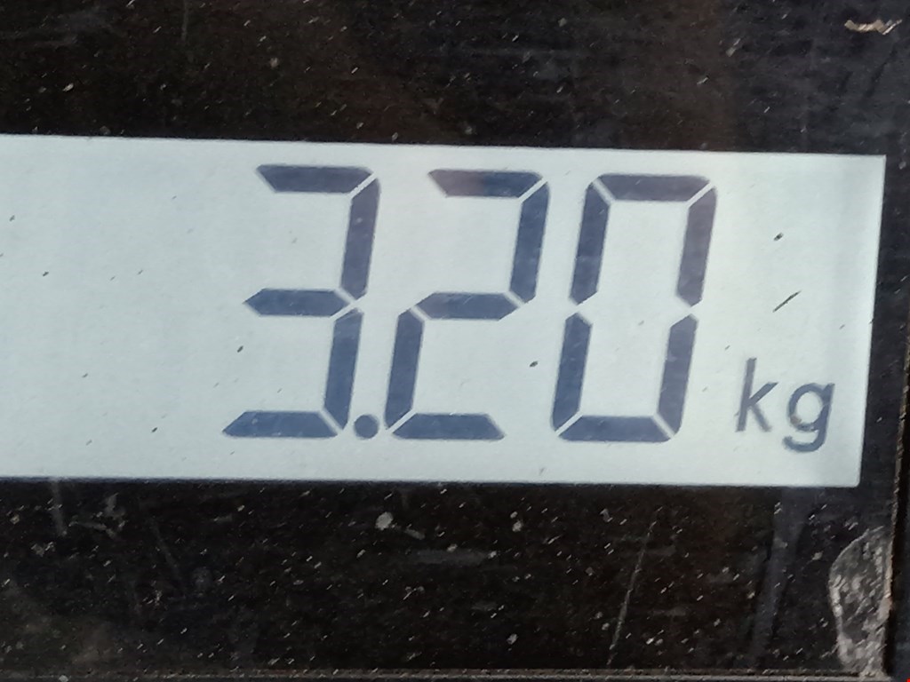 Ступица задняя левая PEUGEOT 307 2001-2008