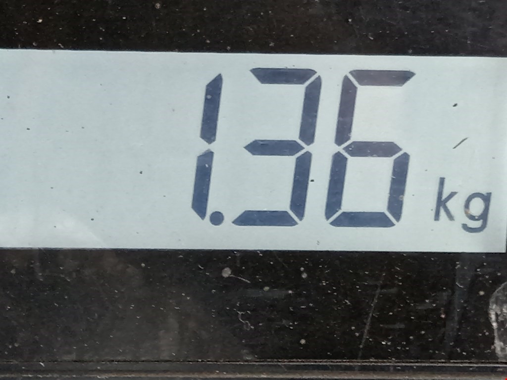 Амортизатор задний правый PEUGEOT 206 1998-2012