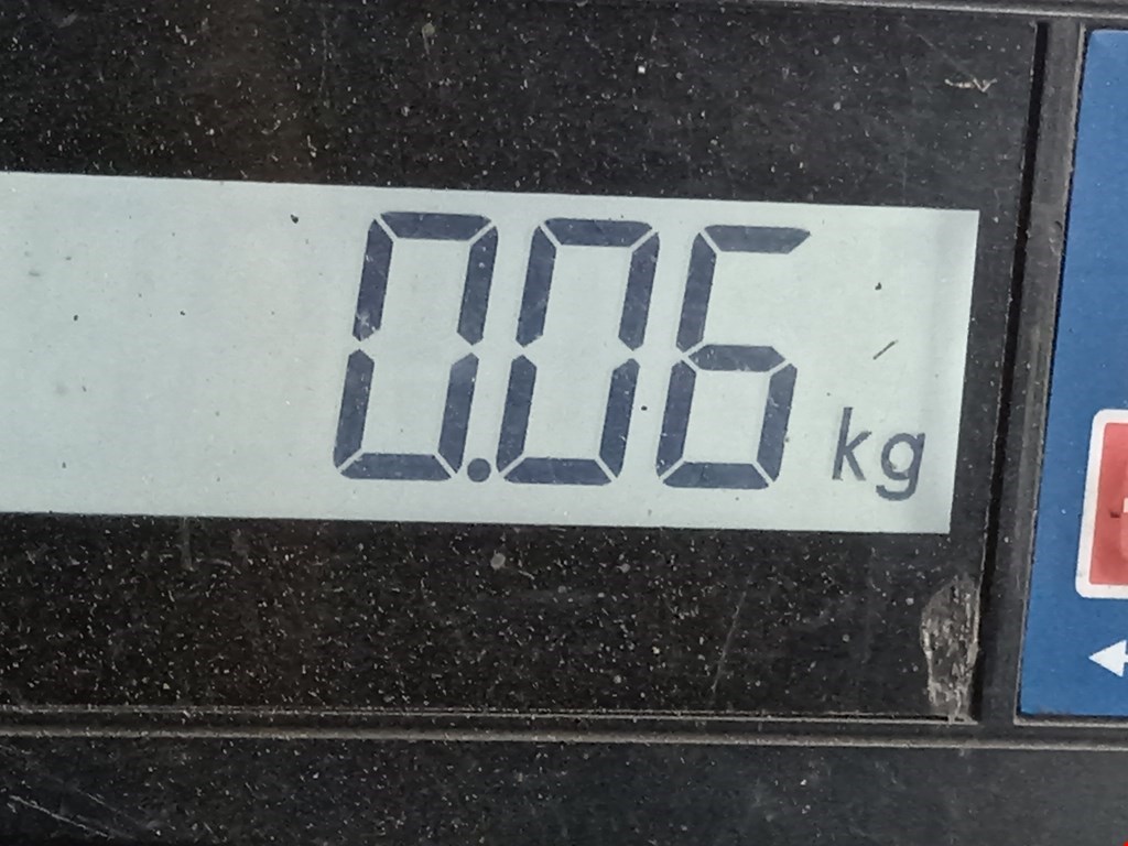 Плафон салонный (салона фонарь) RENAULT Espace 1997-2003