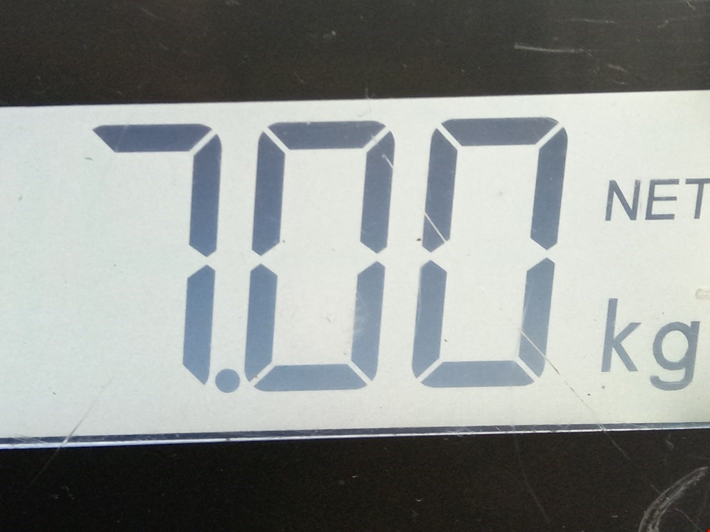 Амортизатор передний правый AUDI A3 8L 1996-2003