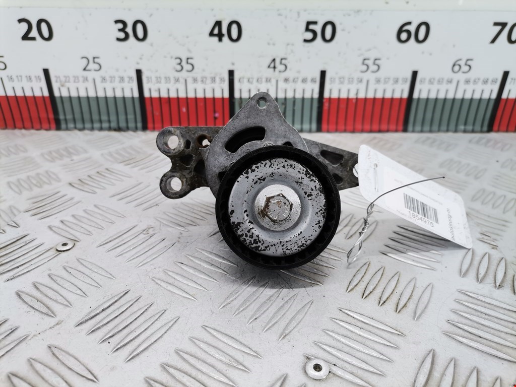 Натяжитель ремня генератора (приводного поликлинового ремня Peugeot 206 (1998-2006)