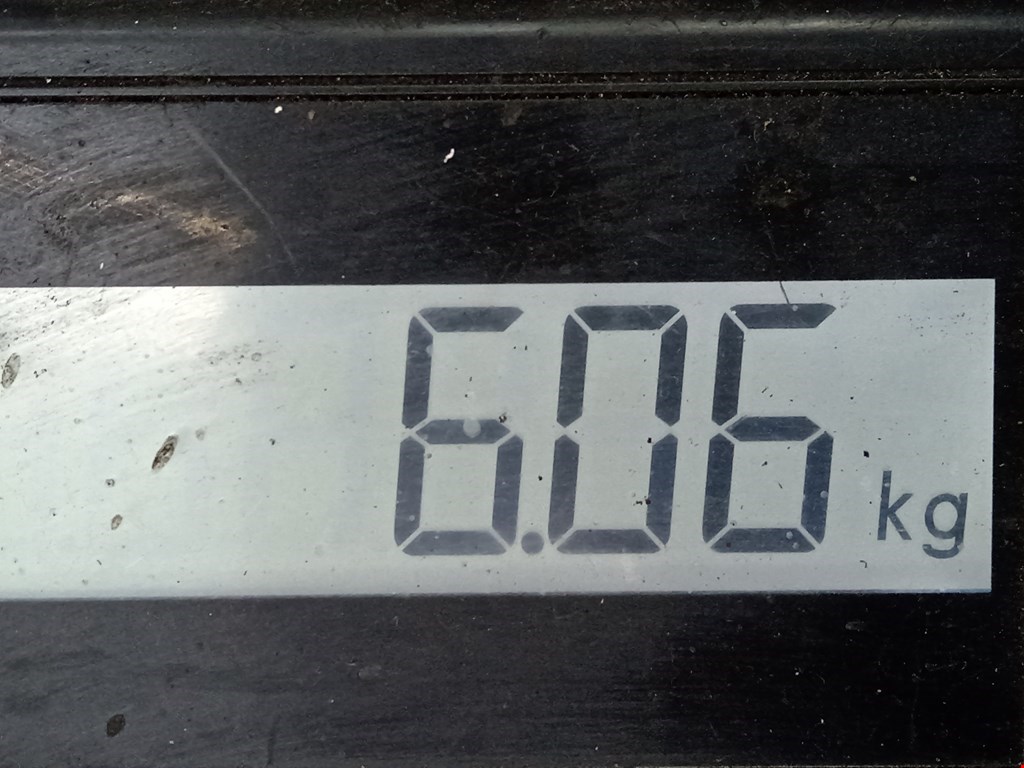 Патрубок интеркулера VOLKSWAGEN Passat B5 1997-2005