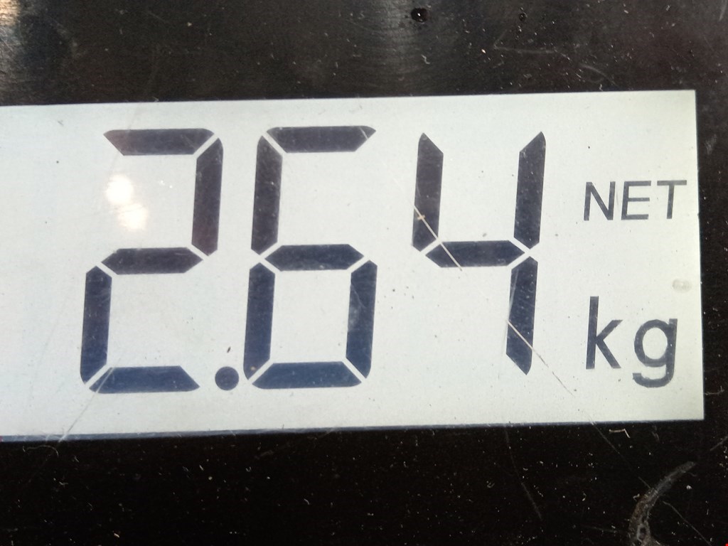 Амортизатор задний левый PEUGEOT 307 2001-2008