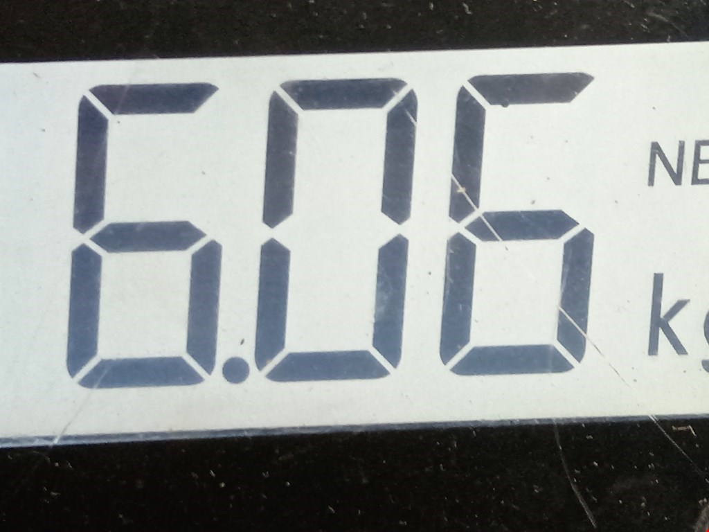 Амортизатор передний правый SKODA Rapid 2012-2020