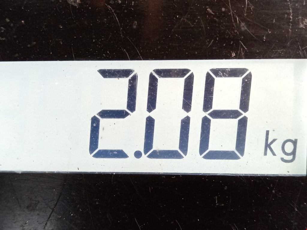 Решетка радиатора VOLKSWAGEN Golf V 2003-2009