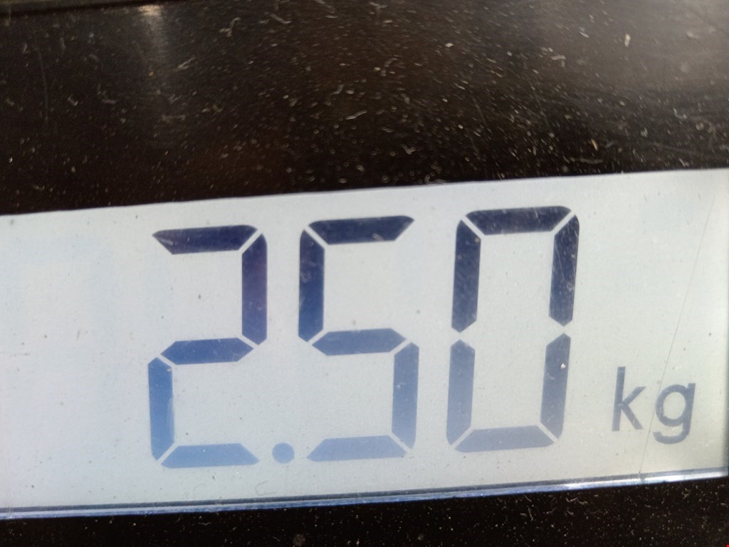 Амортизатор передний правый BMW 5er 5 серия E34 1988-1997