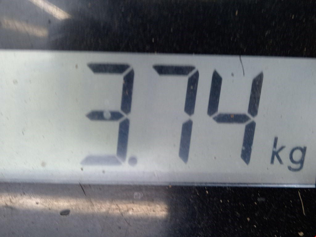 Стабилизатор передний (поперечной устойчивости подвески) PEUGEOT 206 1998-2012