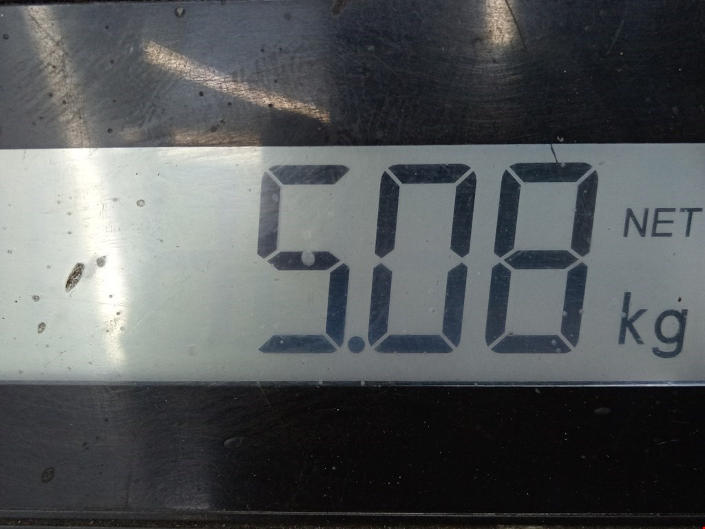 Стабилизатор передний (поперечной устойчивости подвески) PEUGEOT 207 2006-2015