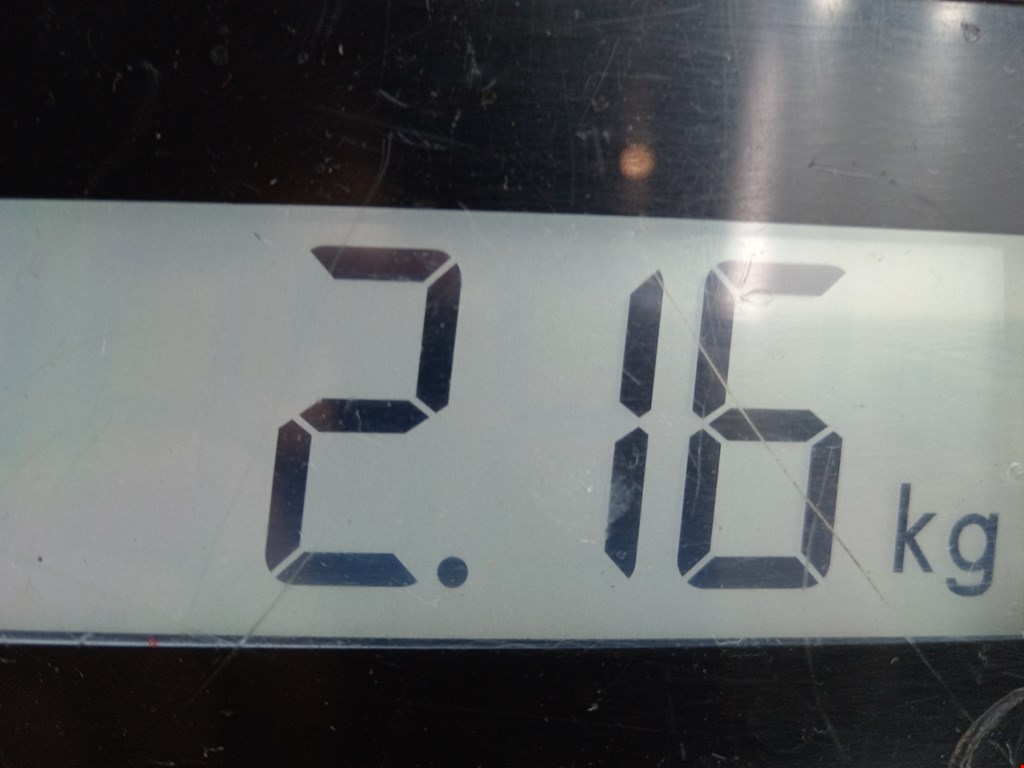 Пружина передняя левая/правая OPEL Astra F 1991-2000