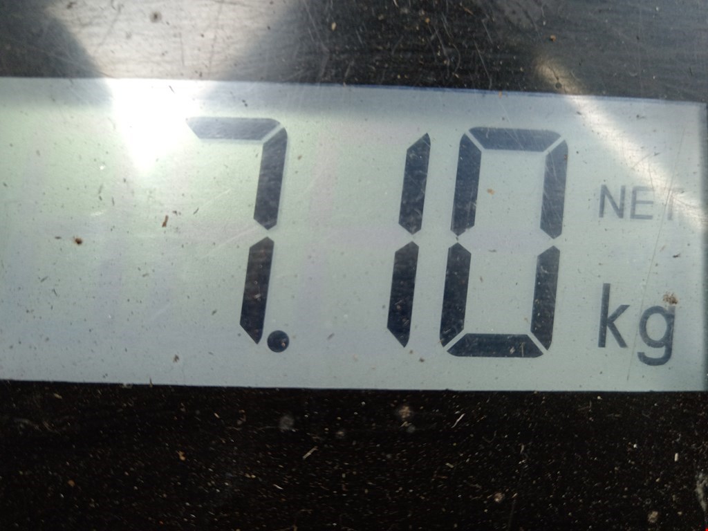 Амортизатор передний правый RENAULT Megane II 2002-2009