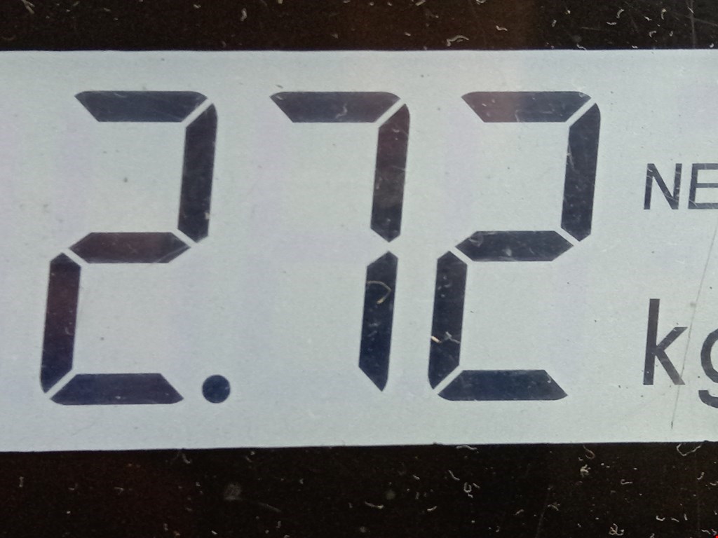 Рычаг задний правый VOLKSWAGEN Golf V 2003-2009