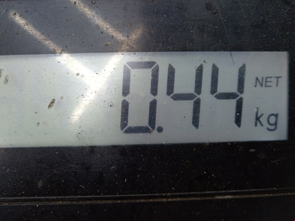 Решетка радиатора RENAULT Espace 1997-2003