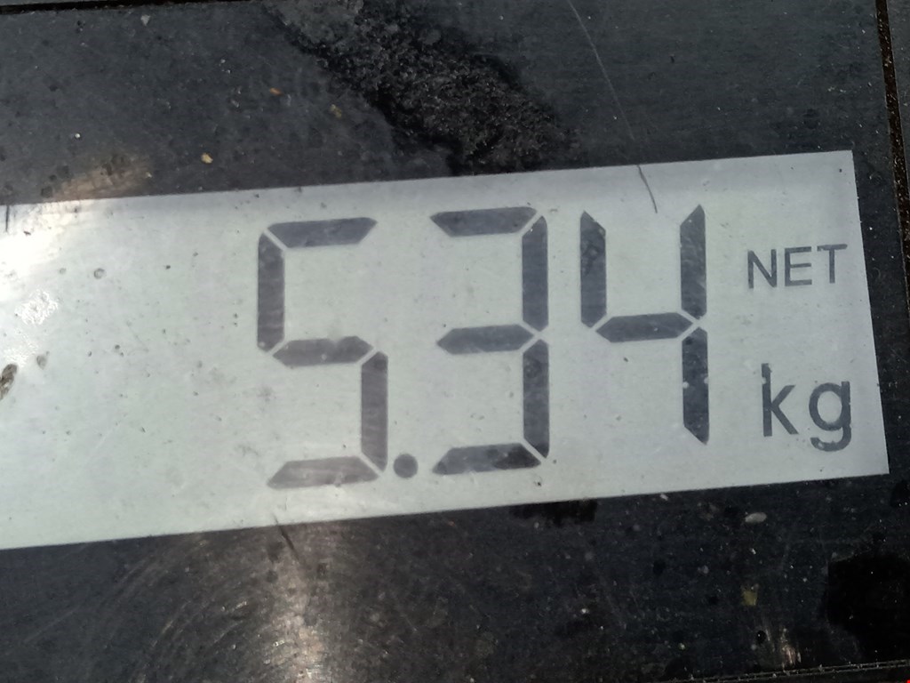 Стабилизатор передний (поперечной устойчивости подвески) CITROEN C5 I 2001-2008