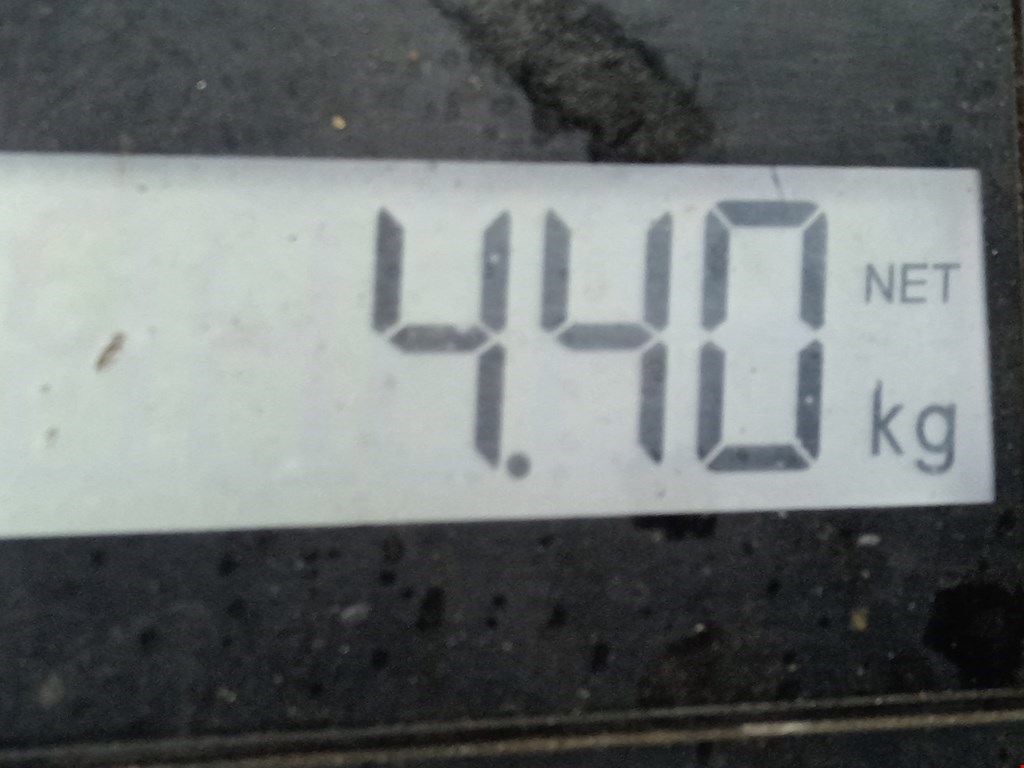 Стабилизатор передний (поперечной устойчивости подвески) PEUGEOT 207 2006-2015