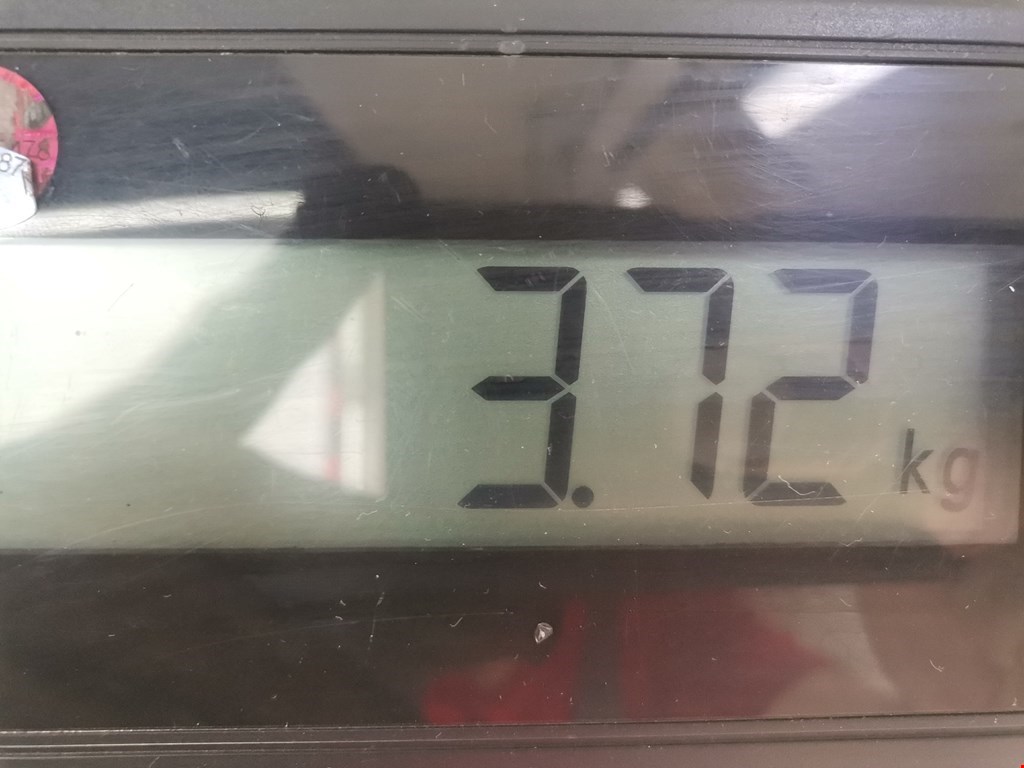 Стеклоподъемник задний левый AUDI A4 B5 1995-2001