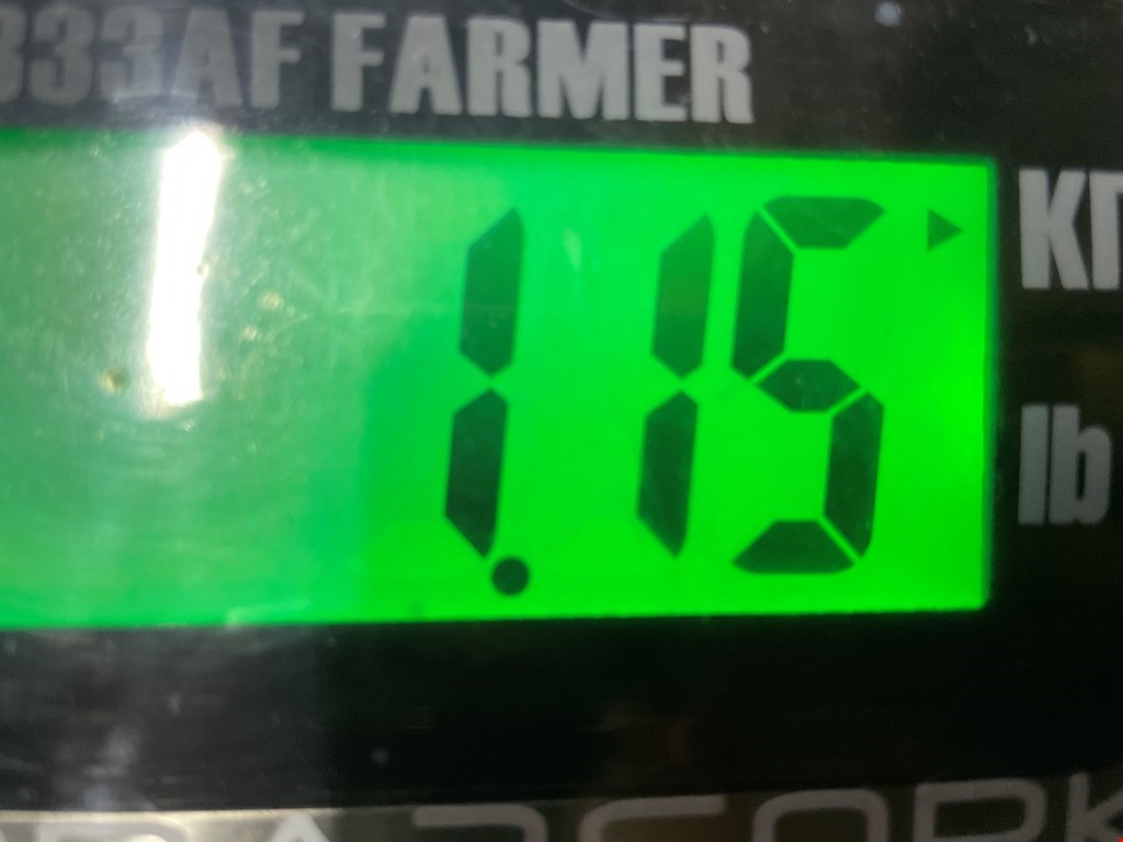 Ремень безопасности задний левый VOLKSWAGEN Touareg 2002-2010