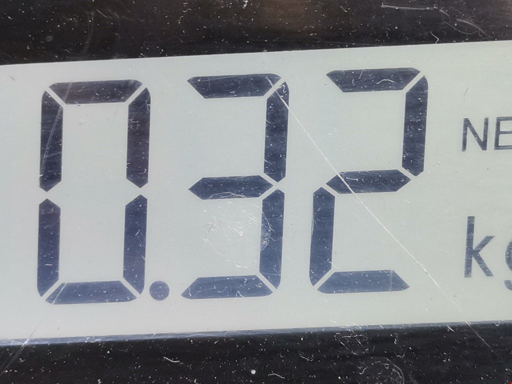 Плафон салонный (салона фонарь) RENAULT Scenic I 1996-2003