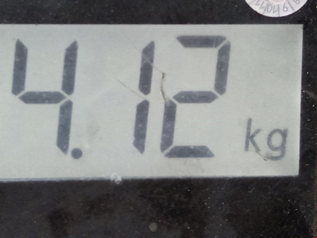 Стекло кузовное глухое правое KIA Carnival I 1999-2005